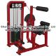 Single Station Gym fitness equipment machine Back Extension exercise machine