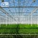 Polycarbonate Sheet Venlo Type Greenhouse Roof Ventilation