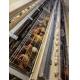144 Birds Full Automatic Poultry Battery Cage Chicken Egg Layer Cage