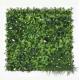 green PE Artificial Grass Wall Panels Outdoor 100cm*100cm