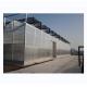 Strong Resistance Multi Span Venlo PC Sheet Greenhouse Arch Polycarbonate Greenhouse