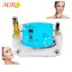 Salon Skin Care No Needle Mesotherapy Machine Electroporation For Face