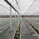 JX-A0045 Trademarked Hydroponic Drip Irrigation Greenhouse within Initial Payment
