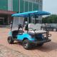 Raysince Latest model golf trolley 4 seats cheap electric golf cart for hot sale