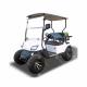 Small White Electric 2 Seater Golf Cart Customization