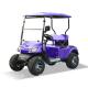 Purple Color Mini Two Passengers Golf Cart With Front Foldable Windshield