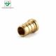 DZR Brass End Plug