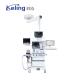 KL-T.IIIAM Single Arm Medical Ceiling Pendant , Germany Standard Hospital Medical Gas Pendant