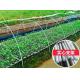 10mm Fiber Reinforced Plastic Rod Flexible Fiberglass Rods For Green House Planting