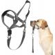 Dog Head Collar No Pull Training Tool For Dogs On Walks Includes Free Training Guide