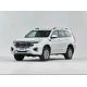 2.0T GHAVEL H9 2022asoline Four-Wheel-Drive Gasoline Car middle-Large Size SUV