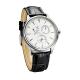 Mineral Classic Automatic Watches , Stainless Steel Case Quartz Watches