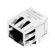 10/100/1000 Base-T Shielded 10 Pin RJ45 Connector