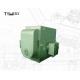 11000v Variable Speed Three Phase Asynchronous Motor IP55