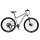 Front and Rear Wheel Disc Brake Mountain Bike 26/27.5/29 inch with Hollow Chainwheel 13s