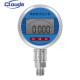 YK-100 Digital Pressure Gauge with High Precision and Corrosion Resistance
