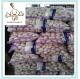 fresh garlic exported to Chile market Jinxiang natural garlic supplier hot sale
