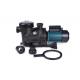 Electric 1.1 Kw Running Swimming Pool Water Pump 2Hp Single Stage