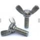 DIN316 High Strength Flat Head Screw Butterfly Thumb Stainless Steel Regular Wing Nuts Screws