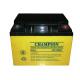 China Champion Deep Cycle Battery 12V50AH NP50-12-G Sealed Lead Acid Solar GEL Battery