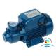 CWX Series Marine Water Pump , Self - Priming Peripheral Vortex Pump
