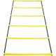 20ft Pro Agility Ladder 12 Rung Soccer Training Ladder Mixed Color