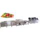 High Speed Fruit And Vegetable Cleaning Machine Ultrasonic Washing