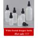 20ml 30ml50ml 2oz Cosmetic Personal care Eye Essential Oil Glass White Frosted Dropper Bottle with Dropper Cap