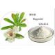 Magnolol,40%-98% by HPLC,Magnolia bark extract CAS 528-43-8