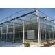 Customized Size Clear Polycarbonate Greenhouse Durable Good Wind Resistance