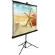 Floor Standing portable tripod projection screens With Matter White,  Metal Housing