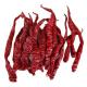 Moisture 12-16% Dried Paprika Peppers With Spice And Hot 8000-12000shu