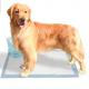 Extra Large Bamboo Training Pads Disposable Pee Pads For Dogs