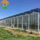 Ventilation System Included Venlo Glass Greenhouse with Galvanized Pipe Steel Structure
