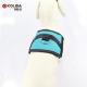 Custom Service Flashing Safety LED Dog Vest Harness , Led Nylon Dog Collar