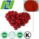 25% PAC Cranberry Extract powder