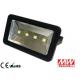 200 W COB LED Flood light high power , 24000 Lumen waterproof led floodlight CE RoHs