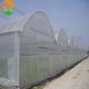 Double Layer Anti Insect Net for Agriculture Greenhouses Cover Plastic Film Effective