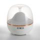 Aromatherapy Diffuser Essential Oil Ultrasonic Diffuser Portable Mini Air Humidifier