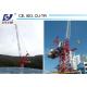 25m Jib 2.0ton Tip Load QTD2520 Small Luffing Jib Tower Crane with High Specifications