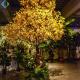 Restaurant Decoration Yellow Ginkgo Tree Silk Fabric Material 5-10 Years Life Time