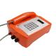 VoIP Explosion Proof Telephone Free Dial Wall / Pillar Mounting ATEX Certificated