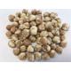 Delicious Garlic flavor  Roasted Chickpeas Roasted Chickpeas Snack OEM Kosher Products