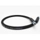 4000 PSI Black Or Blue MPT X MPT Swivel Pressure Washer Hose Long Service Life