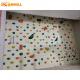 Amusement Rock Wall Climbing Training Indoor Customized Color For Children