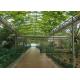 High Grade Venlo Glass Greenhouse Galvanized Pipe Commercial