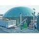 18TPH Organic Animal Waste Biomass Gasification Power Plant