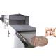 Industrial Conveyor Belt Food Thawing Machine , Meat Defrosting Machine