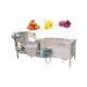 SUS304 Bubble Washing Machine Vegetable And Fruit 500kg/H Food Cleaning Machine