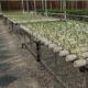 Soilless Technology and Temporary Heating Vegetable Cultivation Greenhouse 2000.000kg